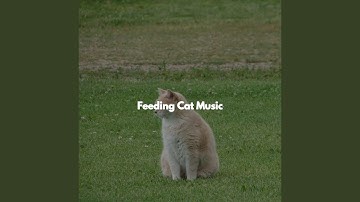 Background for Open Work Floors