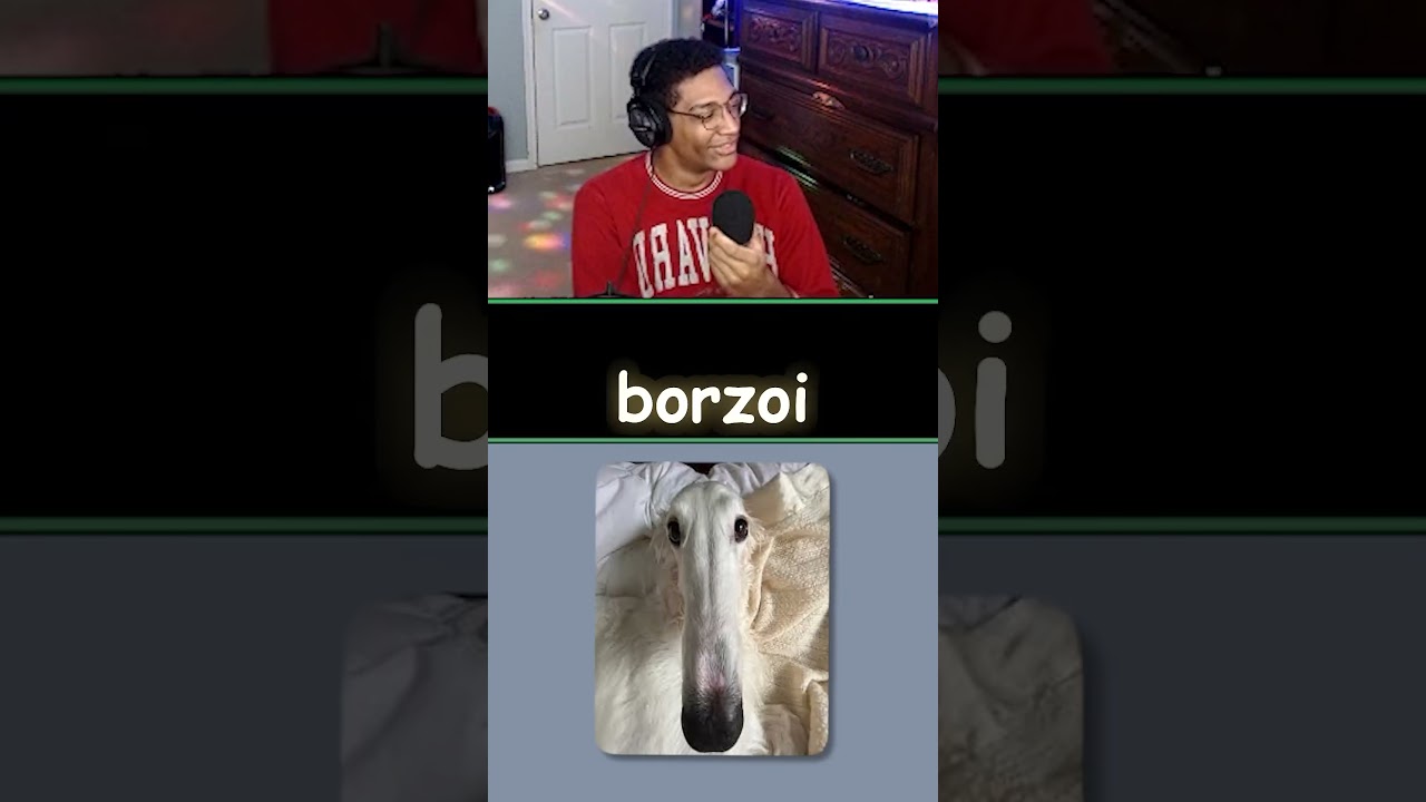 how Foog became viral! #funny #talkshow #interview #streamer #shorts