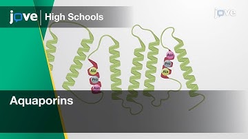 Aquaporins | Cell Bio | Video Textbooks - Preview