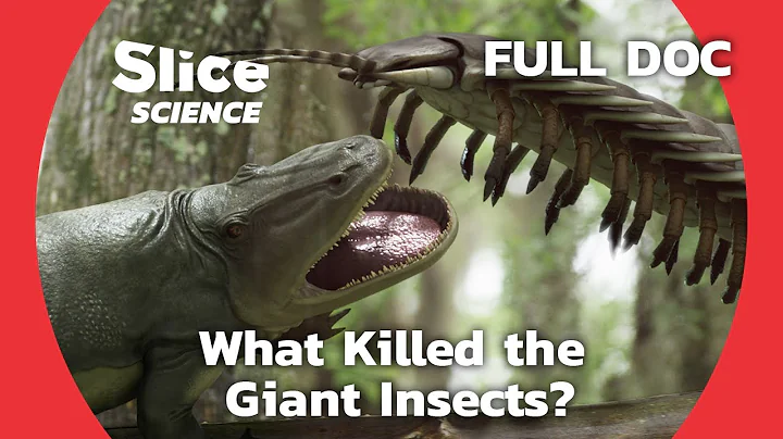 The Extinction of the Giant Insects that Used to Populate the Earth | SLICE SCIENCE