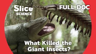 The Extinction of the Giant Insects that Used to Populate the Earth | SLICE SCIENCE