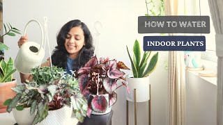 When & How to Water Indoor Plants | Correct Way of Watering Indoor Plants