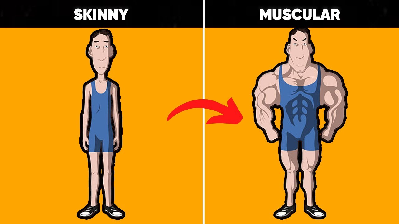 If You re Skinny This Is How To Build Muscle Fast YouTube