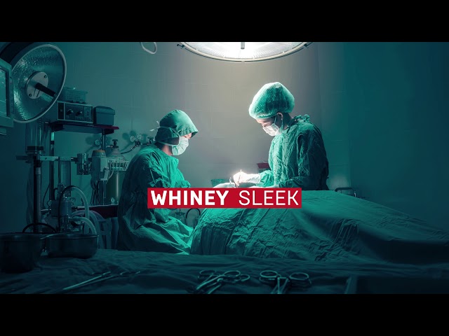 Whiney - Sleek