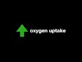 Oxygen uptake training  from 100 to 500 o2 tables