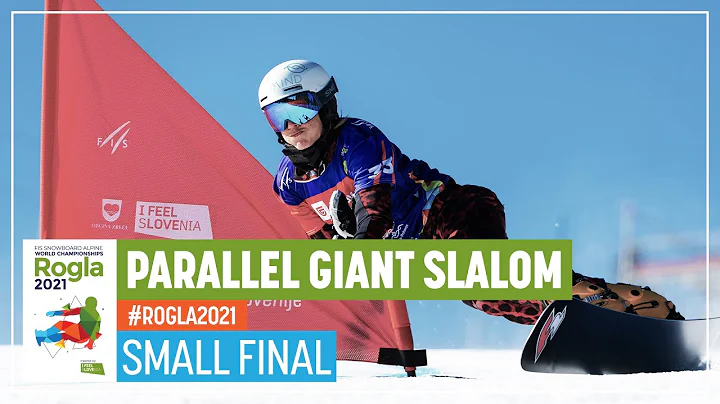 Riegler vs. Dujmovits | Small Final | Women's PGS ...