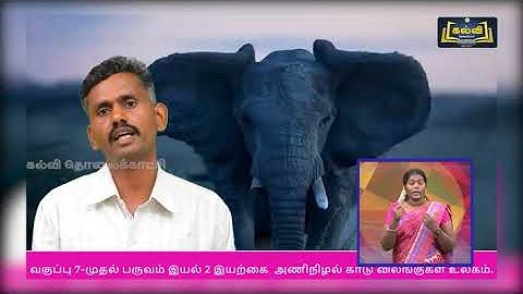 Class 7 | வகுப்பு 7 | தமிழ் | அணி நிழல் காடு - விலங்குகள் உலகம் | அலகு 2 | KalviTv