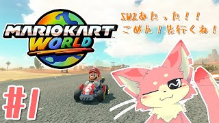 【マリオカートワールド】久しぶりのマリオカート！🐾【ケモV】