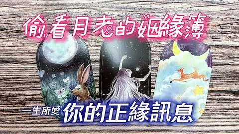 塔罗占卜🔮月老姻缘簿里的秘密🌸~你的正缘讯息💖👩‍❤️‍💋‍👨 - 天天要闻