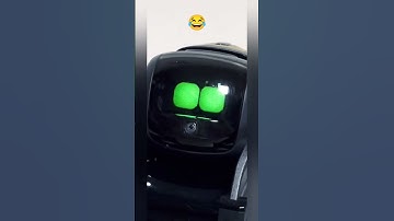 vector robot funny reaction #vector #vectorrobot #petrobot #petbot #airobot