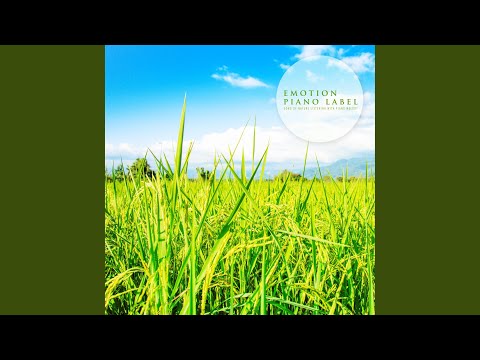Sleduj Always A Welcome Autumn (Nature Ver.) na YouTube