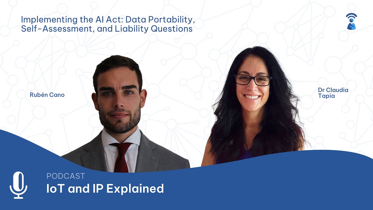 Implementing the AI Act: Data Portability, Self-Assessment, and ...