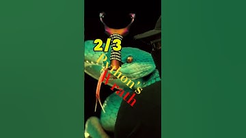 SLINGSHOT SHOTS PYTHON