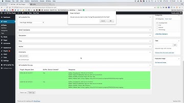 WordPress to Buffer Pro: Logging