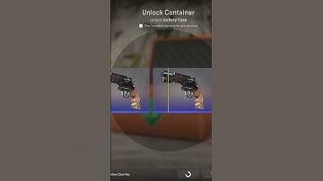 CS 2 gallery case | Shoud I OPEN it or KEEP it sealed ? | case unboxing