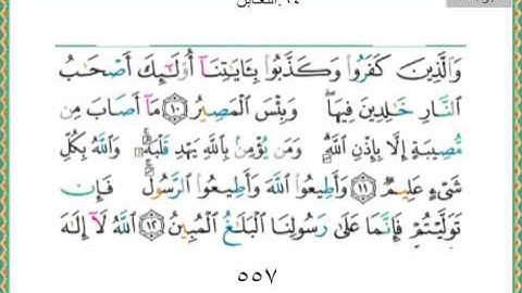 064-سورة التغابن سعد الغامدي