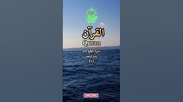 سورة البقره پشتو ترجمه #سورة_البقرة #البقرة #تلاوة #پښتو_ترجمه
