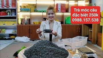 Cận cảnh trà móc câu đặc biệt 250k 0988.157 .538