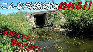 こんな場所絶対に釣れる！！最後かなりの大物が釣れた！！