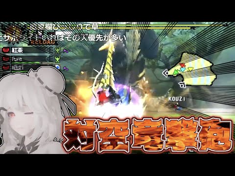 【MH4G】ガンサーとしての実力を見せつける男【2022/5/9】