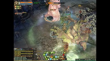 Test Rank Reset - Siaulai Dung 300+