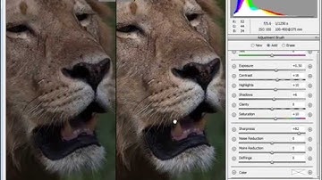 PPSOP Photoshop Tip - Using the Adjustment Brush