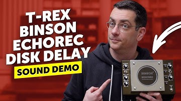 T-Rex Binson Echorec Disk Delay - Sound Demo - Is it worth the money?