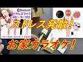 お家カラオケが出来るマイクを買った～！ストレス発散！