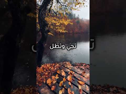 طلت الشتوية فضل شاكر   