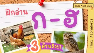 EP1 *ใหม่* ฝึกอ่าน ก เอ๋ย ก ไก่ - ฮ นกฮูก ตาโต 44 พยัญชนะไทย ~ Thai Alphabets ** New Version ** screenshot 2