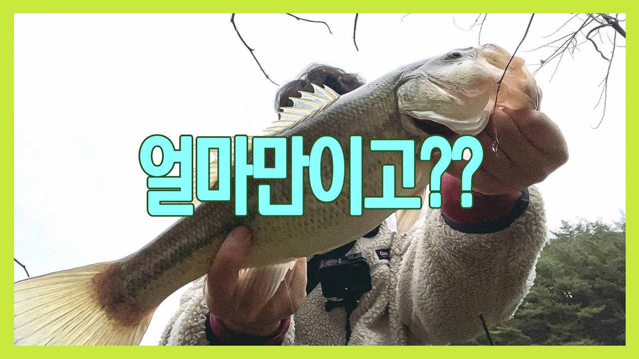 나불천 덩어리를 만났습니다.^^ 묵직하니 좋네요~^^ #bassfishing #bass #배스낚시 #배스 #fishing