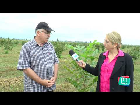 გადაცემა \"სოციუმი\" – ფერმერები (გადაცემა 16)