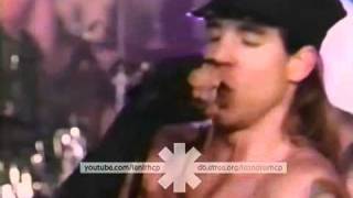 Red Hot Peppers - Show Me Your Soul (playback @ Rock Cafè, Orlando 20-04-1990) - YouTube