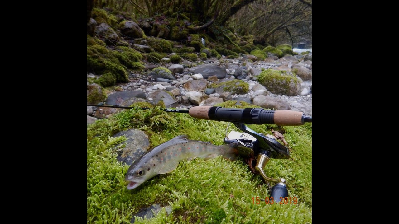 Спиннинги от KOLA-SALMON  совместно  с  Trout Zone Edition. Серия Trout Sensor 57L/2 (0-1.5g.)