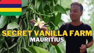 🤩 SECRET VANILLA FARM 🤩 Mauritius 🇲🇺 Africa