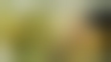 Mars-Hydro SMART FC-4800 (Samsung chips & WIFI control) Grow Series - Episode 3 - Flowering Cycle