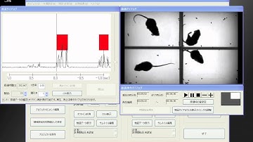 擦過行動の自動検出　Automatic detection of scratching behavior