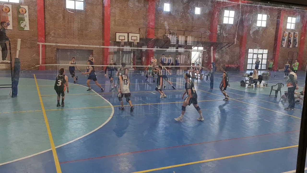 Vivilo Vivilo Viviloo