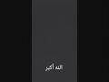 ما شاء