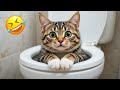 これらの愉快な動物たちはあなたをずっと笑わせ続けます!😂