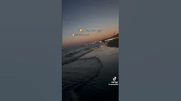 مش اي حد يشيلي اسمي 