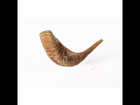 כל נדרי | להתיר את האמירות והאיסורים המיותרים