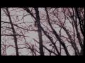 ウィッグビーチ_ORIGINAL_movie