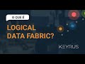O que é Logical Data Fabric?