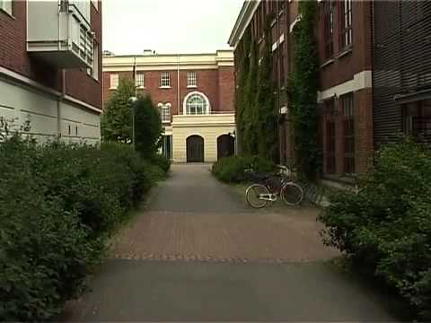 #292 Туризм. Финляндия. Музей в Оулу