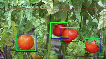 Multi object tracking with darkflow(CNN) and OpenCV