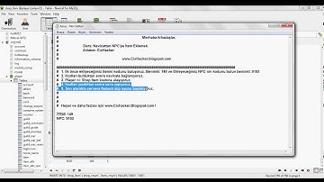 Metin2 Navicattan NPC