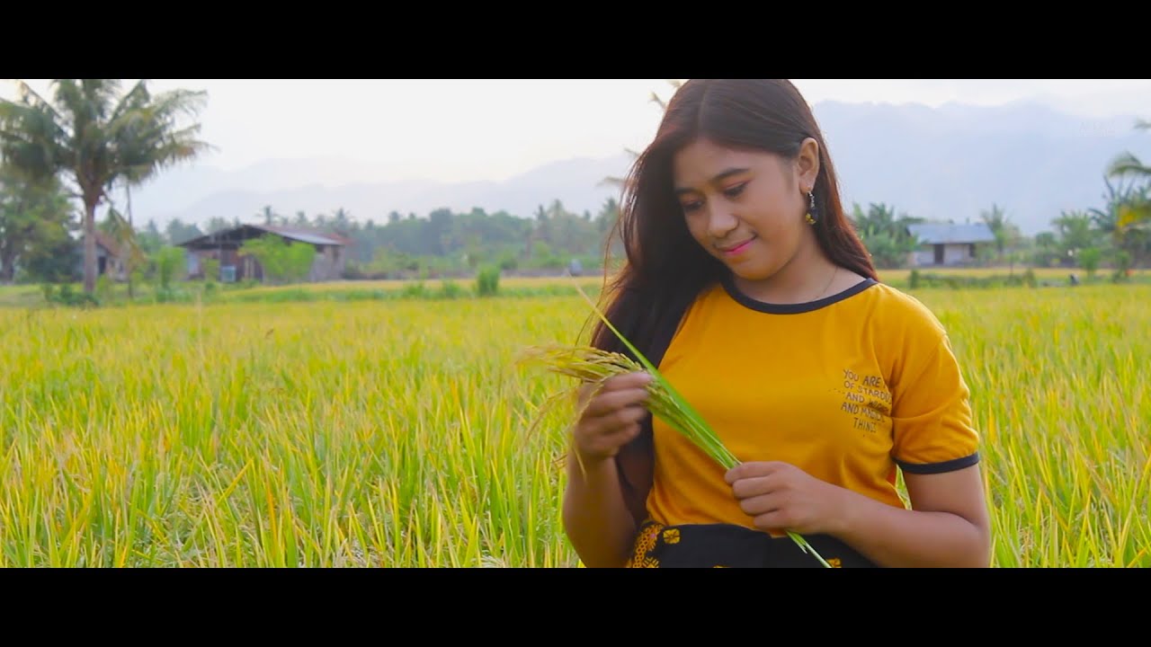 AESESA KOTA PADI DI UTARA || AMBROS MEAS (OFFICIAL MUSIC VIDEO)