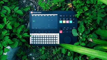 Anem - Digital Curse (jungle)