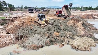 Wonderful Filling Up Land, Best Bulldozer D60P Pushing Clearing Dirt and 10whell truck unloading